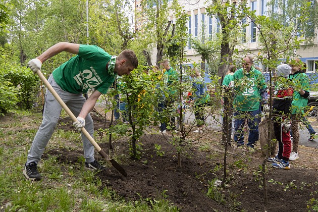 Зелёная дружина